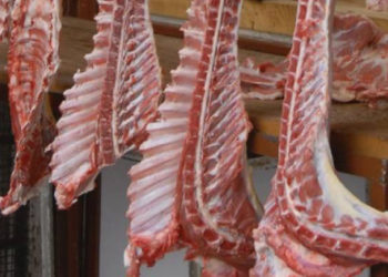 مسلخ أغنام ميتة اللاذقية نظام الأسد