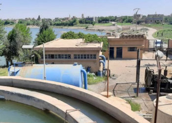 الكوليرا قسد دير الزور