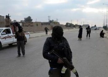 تنظيم الدولة