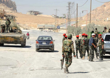 ريف حمص الفرقة الرابعة قوات النظام محصول الزيتون