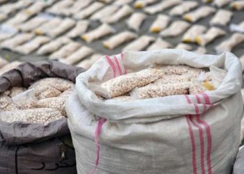 مخدرات حزب الله