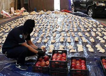 السعودية تهريب المخدرات