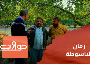 جولات _ موسم الرمان في الباسوطة