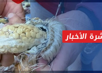 نشرة أخبار المنتصف 26 11 2022 وفيها: بالأرقام.. دراسة ترصد تفشي إدمان الكحول والمخدرات في سوريا