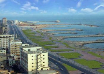 جريمة قتل طرطوس الزيتون