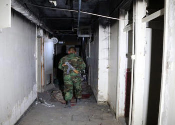 الشبكة السورية