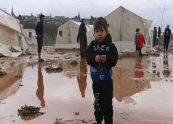 تنظيم الدولة