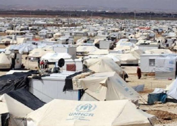 الأغذية العالمي