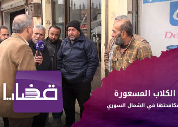 قضايا – الكلاب المسعورة.. ومكافحتها في الشمال السوري