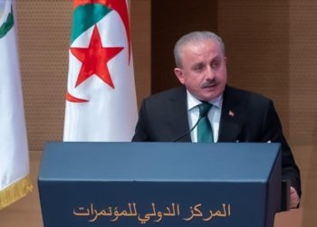 البرلمان التركي