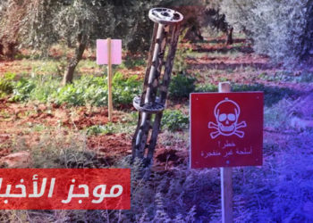 موجز أخبار الواحدة 31 01 2023