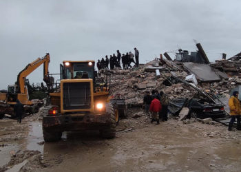 الشبكة السورية