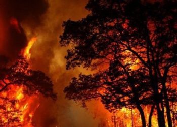 كيف أثّرت حرائق أستراليا على كامل الكرة اﻷرضية؟