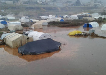 منسقو الاستجابة