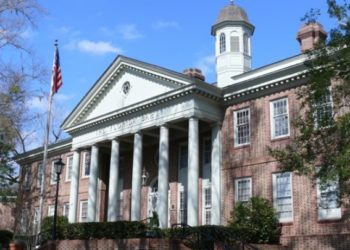 تنظيم الدولة