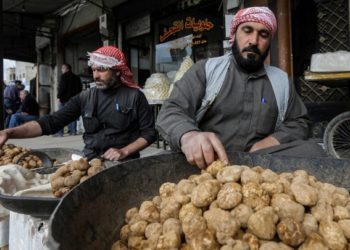 هكذا تمتص الفرقة الرابعة دماء عمال جمع الكمأة في البادية السورية