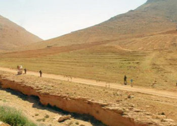 الفرقة الرابعة