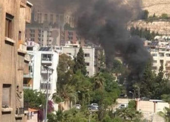 شرطة سلطة الأسد