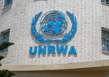 الفلسطينيين