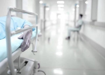 دماغ الإنسان