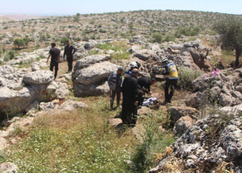 التحالف الدولي