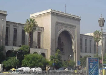 معدلات الزواج