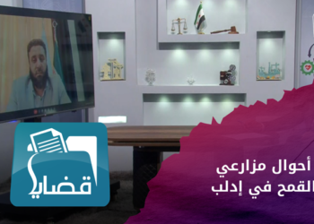 قضايا – أحوال مزارعي القمح في إدلب