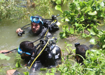 الشمال السوري