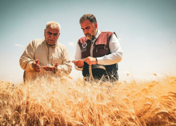 قطر الخيرية