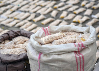 الجيش الوطني