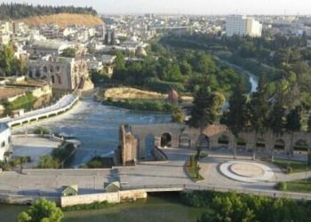 مقتل رجل على يد زميله في العمل بحماة.. والسبب؟