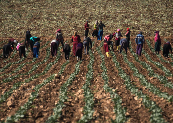 هؤلاء هم شعبنا وعلينا دعمهم.. كاتب تركي ينصف السوريين ويتحدث عن مساهماتهم في دفع عجلة الاقتصاد التركي