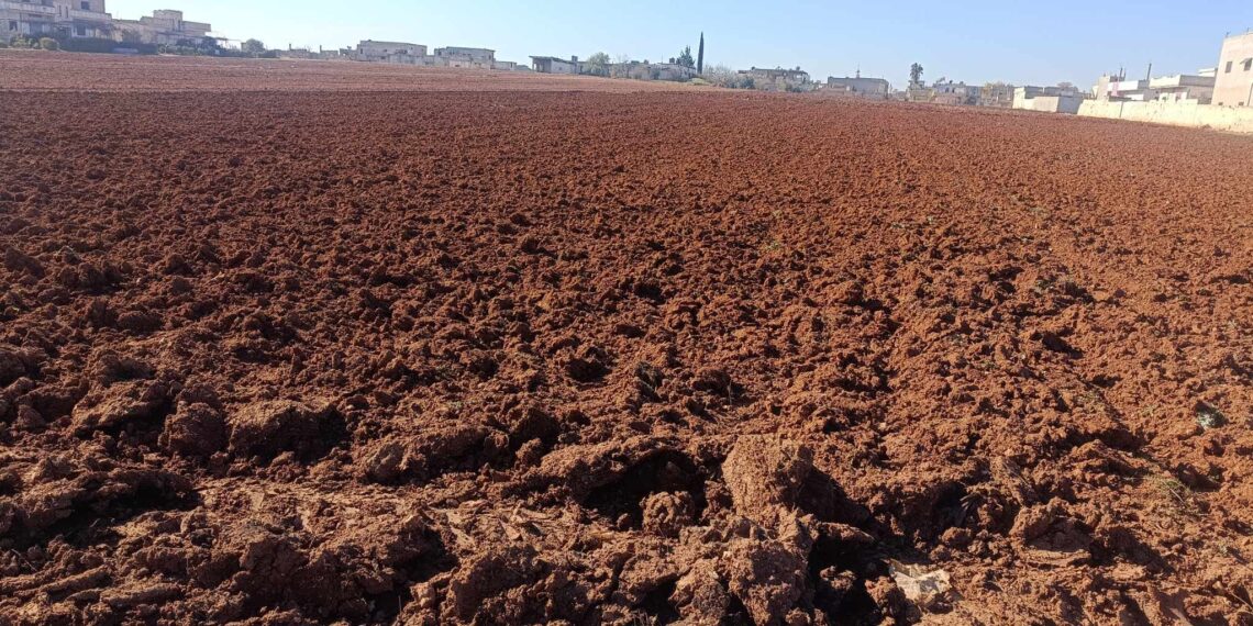 الزراعة في حمص