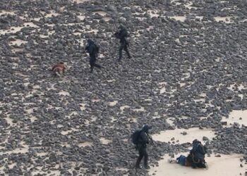 القبض على مهربي المخدرات