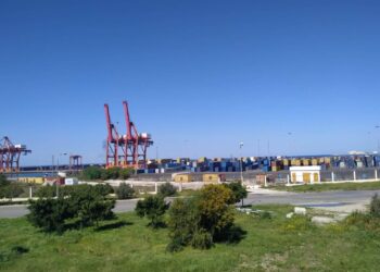 شركة آل اﻷسد الرائدة في تهريب البشر .. تعرف إليها