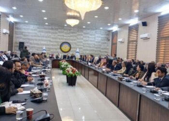 الإدارة الذاتية