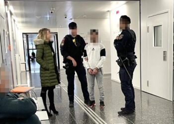 المتهم بجريمة طعن زميله في النمسا