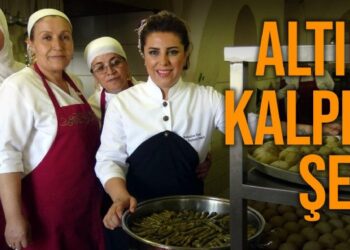 الطباخة التركية "إبرو بايبارا ديمير"