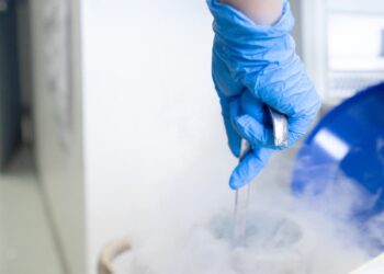 عمليات تجميد البويضات تلقى رواجاً في دمشق