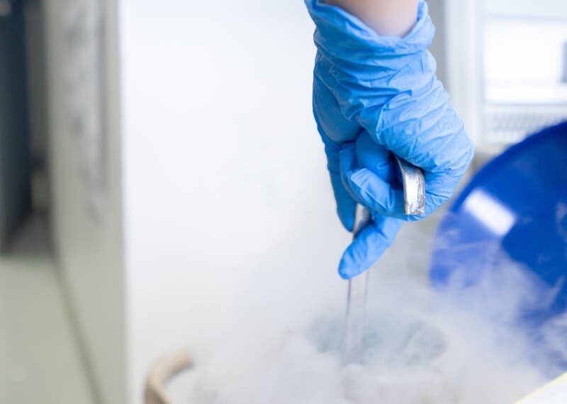 عمليات تجميد البويضات تلقى رواجاً في دمشق