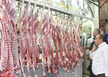 أسعار اللحوم تحلّق عالياً في دمشق