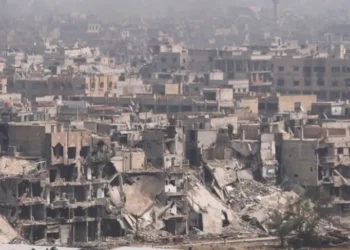 الشبكة السورية لحقوق الإنسان توجّه بياناً إلى منظمة حظر الأسلحة الكيميائية حول مخيم اليرموك