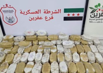 الحشيش المضبوط من قبل الشرطة العسكرية في عفرين