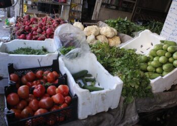 خاص | أسعار الخضار تتجاوز الحدود في مدينة القامشلي: كيلو البندورة يصل إلى 13 ألف ليرة