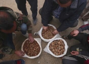 مقتل مدنيين من جامعي الكمأة إثر هجوم مسلح في دير الزور