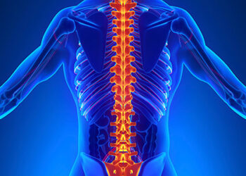 الجمعية الألمانية لجراحة العظام: هذه اﻷعمال مفيدة لصحة العمود الفقري