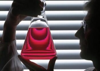 كيف يسهم المهاجرون بدعم الابتكارات في ألمانيا؟