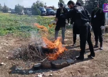 حرق المخدرات في السويداء