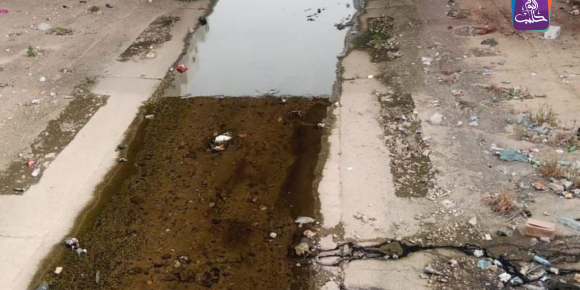 نهر بردى في دمشق