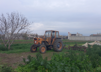 الزراعة شمال شرق سوريا